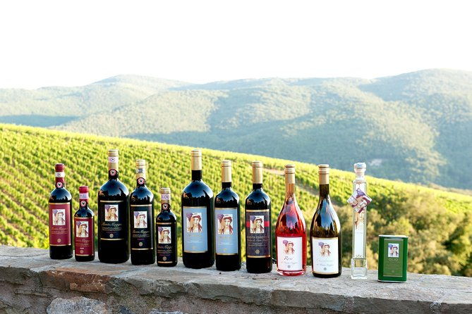 tour-and-tasting-at-an-organic-winery-in-the-heart-of-chianti-classico-area