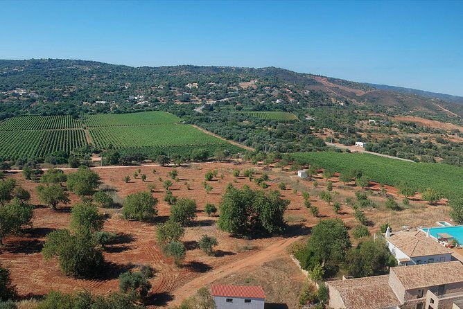 tour-wine-tasting-authentic-algarve-flavours-by-quinta-da-tor