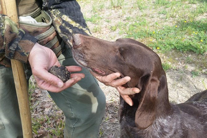 truffle-hunt-bio-lunch-in-assisi