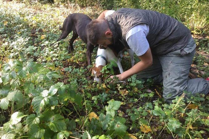 truffle-hunting-adventure