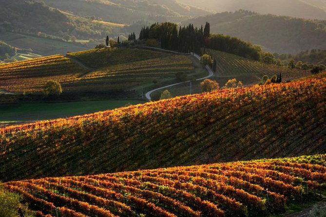 tuscany-hiking-tour-from-siena-including-wine-tasting