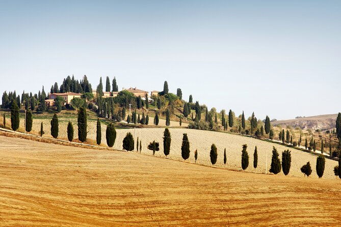 vespa-tour-with-lunchchianti-winery-from-siena