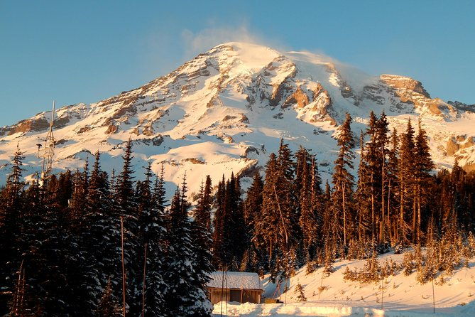 viator-exclusive-day-tour-from-seattle-to-mt-rainier