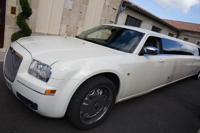 vip-cherry-blossom-tour-by-limousine-with-exclusive-dinner
