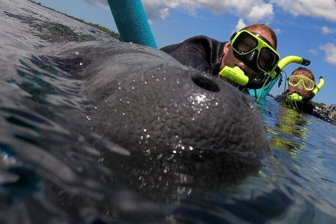vip-private-boat-manatee-snorkel-tour-with-in-water-guide-and-photograper