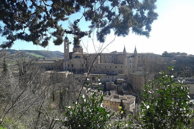 visit-of-the-ducal-palace-of-urbino