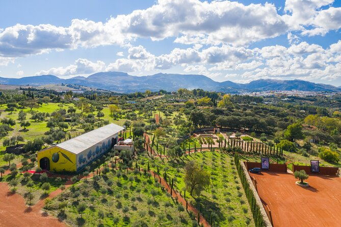 visit-oil-mill-museum-and-olive-oil-tasting-in-ronda