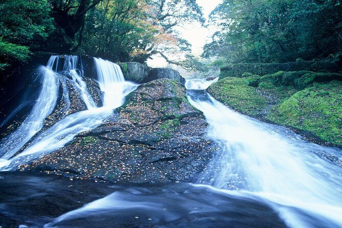 walking-with-a-guide-through-the-kikuchi-valley