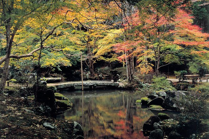 we-love-shinrin-yoku-tour-1-day