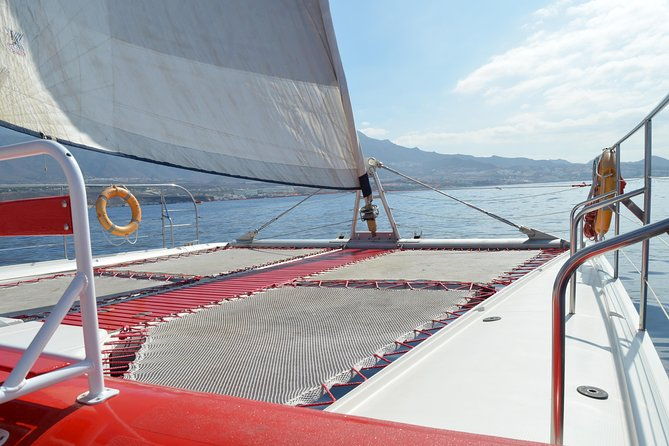 whale-watching-and-listening-eco-catamaran-tour-with-food-tasting