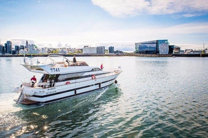whale-watching-dolphin-yacht-cruise