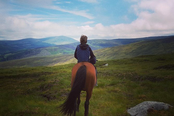 wicklow-mountains-horse-trekking