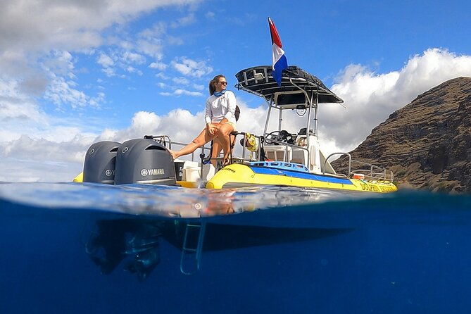 wild-dolphin-watching-and-snorkel-safari-off-west-coast-of-oahu