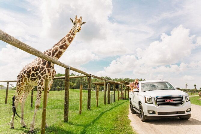 wild-florida-drive-thru-safari-and-gator-park-admission