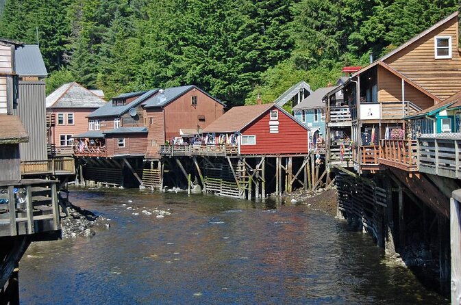 wildlife-viewing-and-whale-watching-quest