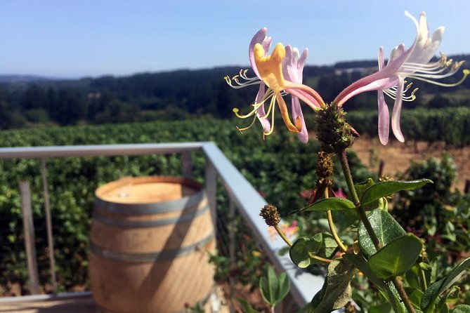 willamette-valley-character-winery-tour