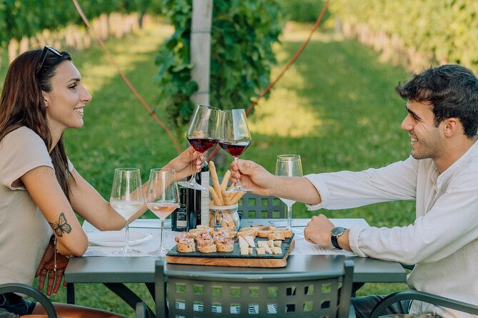 wine-and-food-tasting-in-the-vineyards-in-lazise