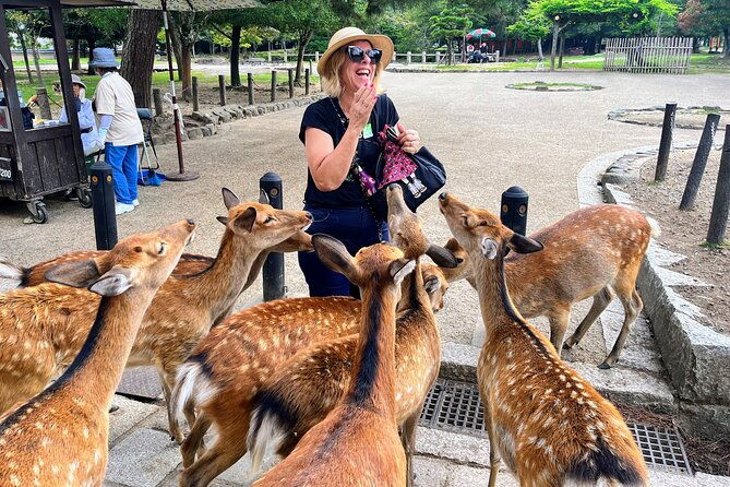 world-heritage-kyoto-nara-uji-authentic-matcha-experience