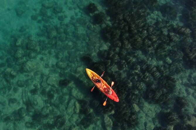 wwf-kayak-tour-from-cala-manbru-to-torre-salsa-reserve