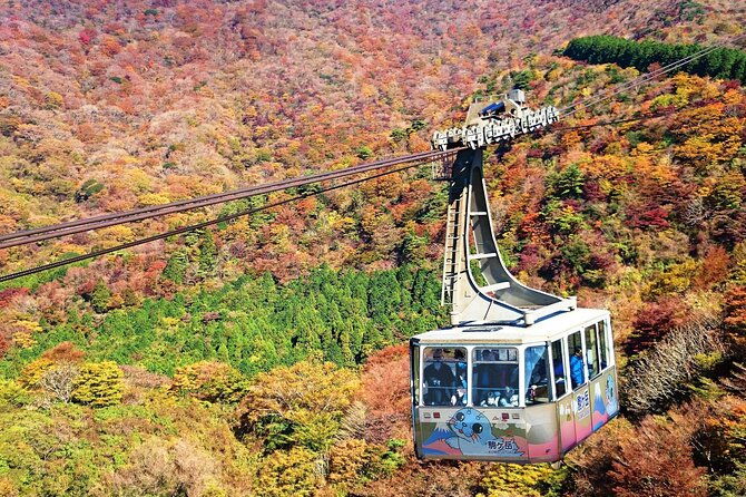 1-day-private-tour-in-hakone-with-hakone-freepass-train-ticket