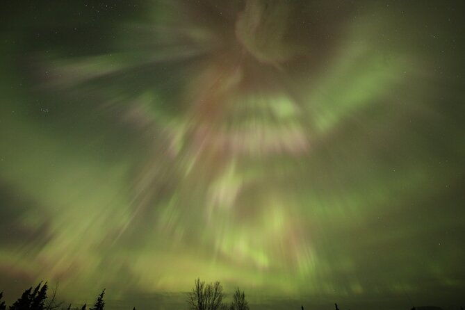 1-day-shared-tour-arctic-circle-and-aurora-viewing-in-alaska-2