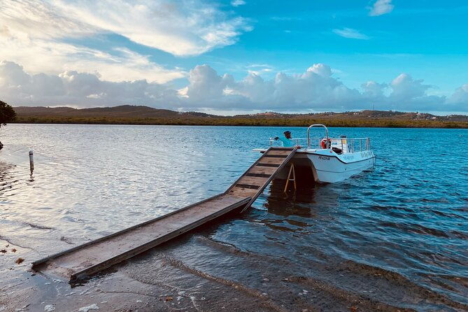 1-hour-bioluminescent-boat-tour-in-mosquito-bay-vieques