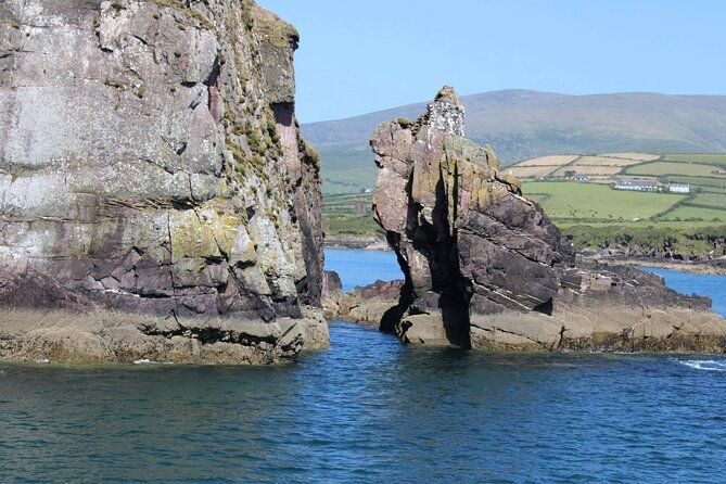 1-hour-dingle-bay-cliff-tour
