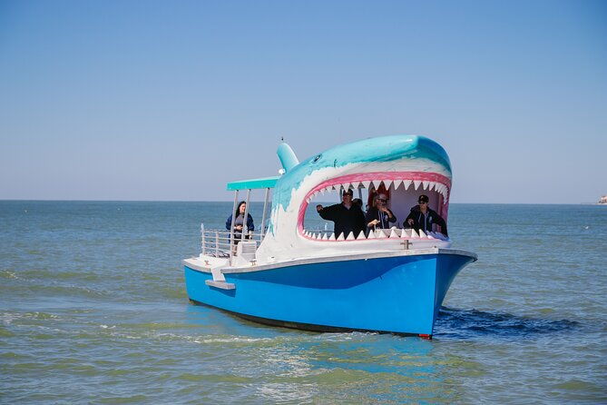 1-hour-dolphin-sightseeing-adventure-cruise-from-madeira-beach