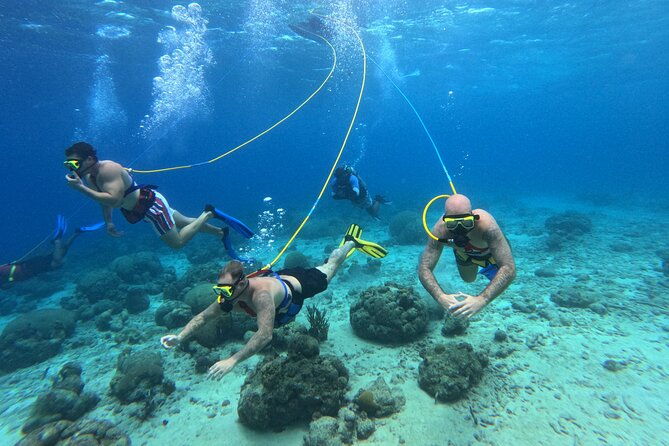 1-hour-guided-snuba-east-coast-diving-in-curacao