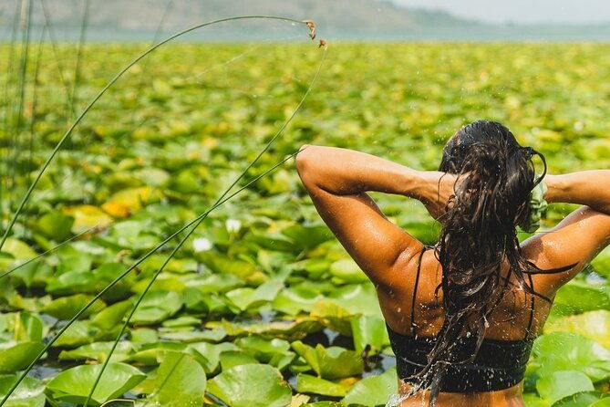 1-hour-kayak-adventure-through-skadar-lake-from-virpazar