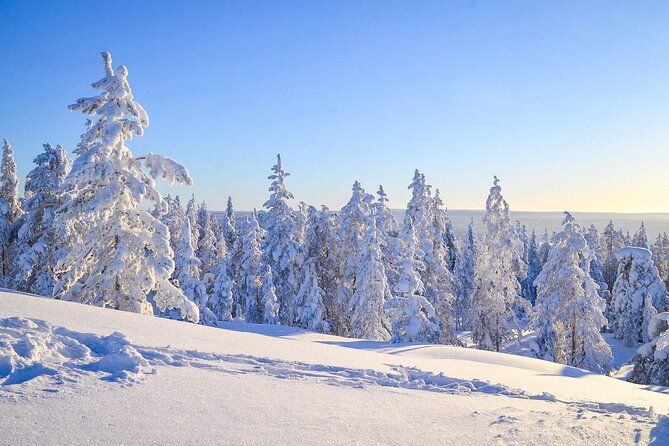 1-hour-snowmobile-safari-adventure-in-rovaniemi-2