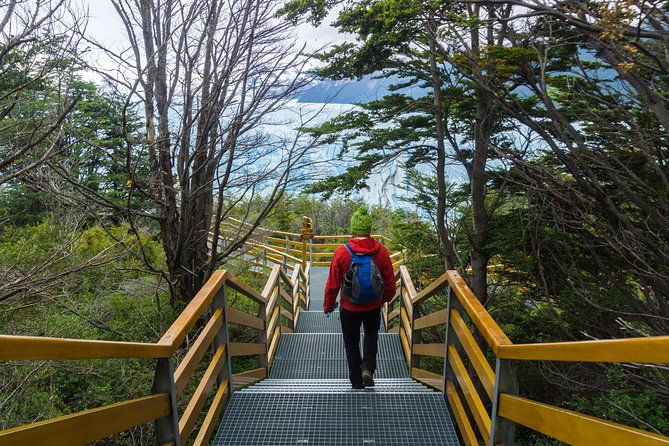 13-day-best-of-patagonia-tour-from-el-calafate-to-ushuaia-los-glaciares-torres-del-paine-and-tierra-del-fuego-national-parks