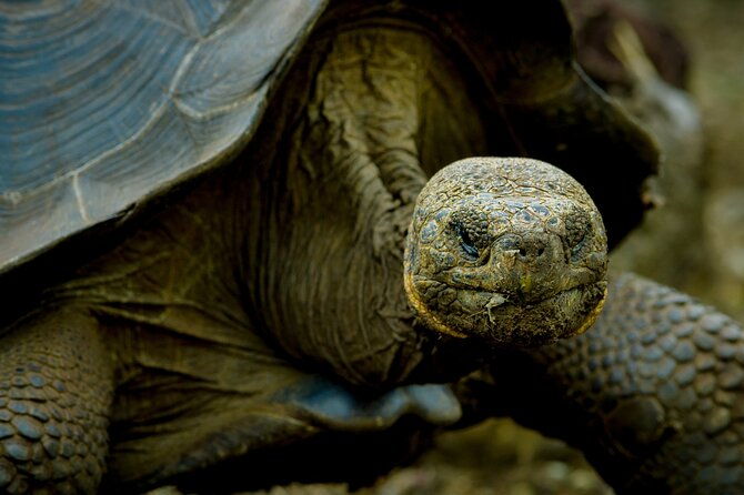 16-day-ecuador-adventure-andes-amazon-galapagos