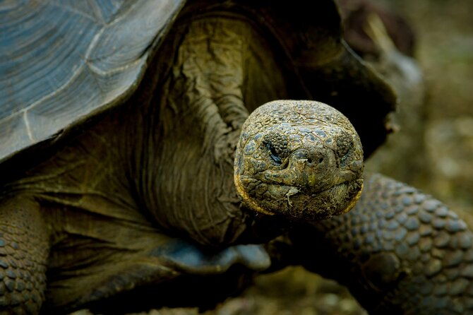 17-day-ecuador-and-galapagos-islands-hidden-treasure-with-boutique-style-hotels