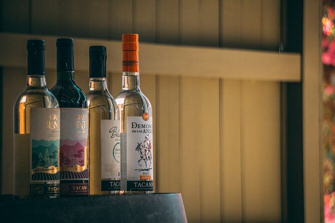 2-day-tour-paracas-reserve-ballestas-huacachina-nazca