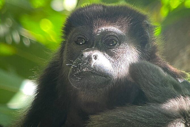 2-days-1-night-corcovado-jungle-adventure-sirena-ranger-station