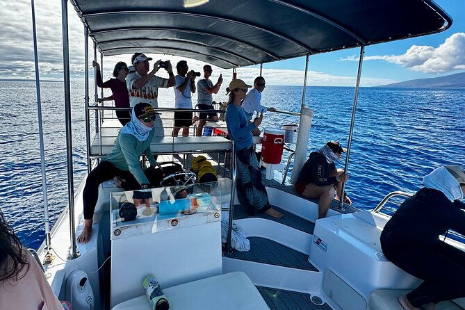 2 Hour Afternoon Lahaina Whale Watch