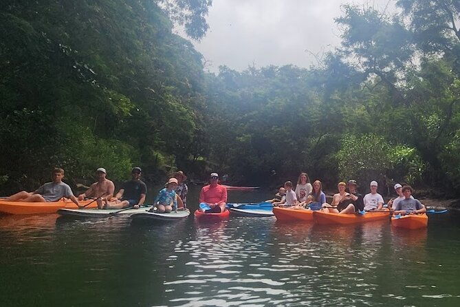 2 Hour Tandem Kayak Rental at Our Private Launch Area in Haleiwa