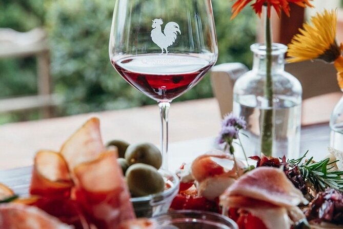 2-wineries-chianti-wine-tasting-vineyards-walk-private-tour