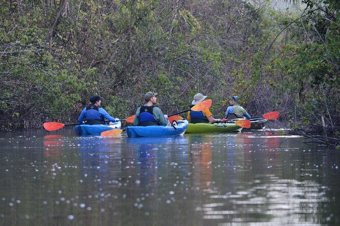 2hour-everglades-kayak-safari-adventure-through-mangrove-tunnels-2