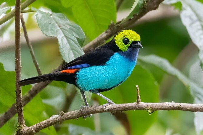 3-day-manu-amazon-rainforest-private-tour