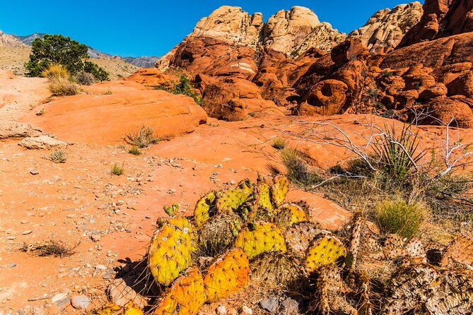 3-day-self-guided-las-vegas-day-trips