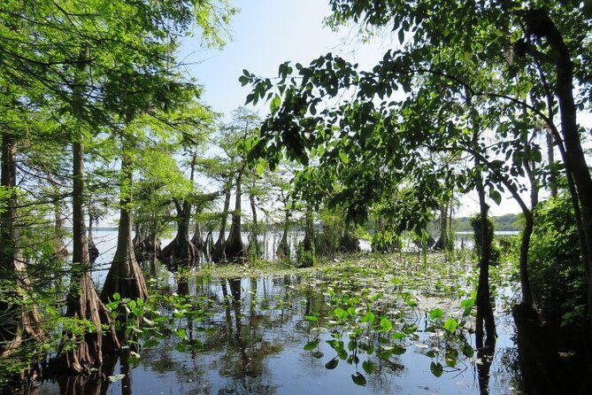 3-hour-small-group-lake-norris-kayak-activity