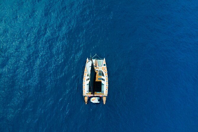 3-hrs-whale-watching-and-relaxing-chill-out-catamaran-with-glass-floor