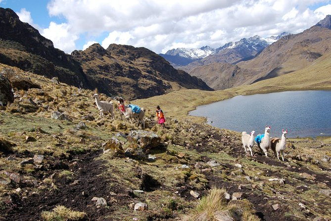 4-day-lares-trek-to-machu-picchu-group-service