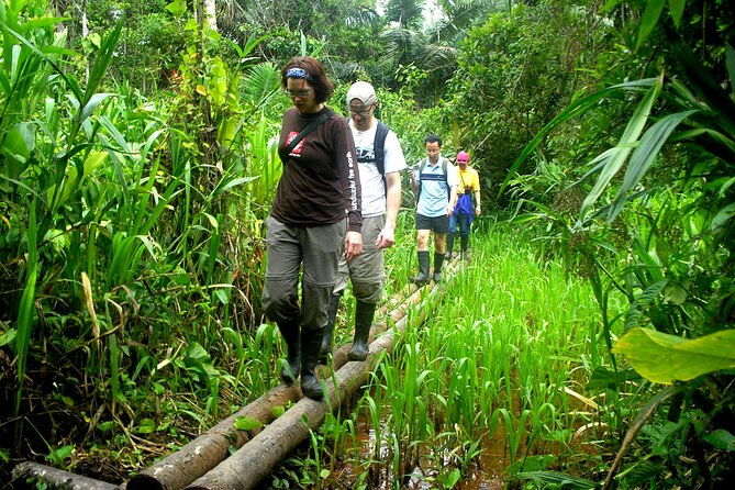 4-day-private-tour-to-manu-national-park-from-cusco