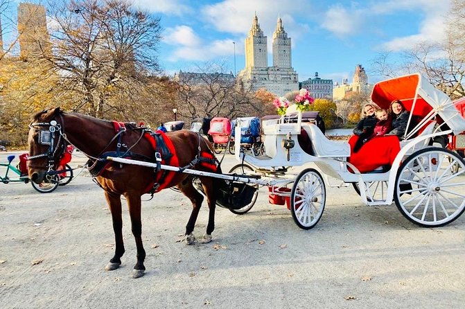 45-minute-vip-central-park-carriage-ride
