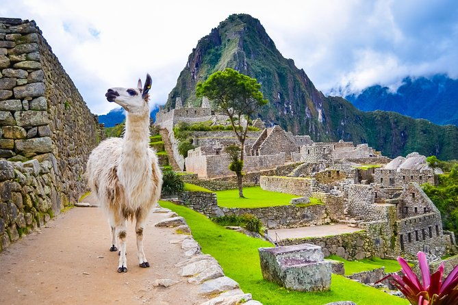 5-day-all-included-cusco-machupichu-qeswachaca-private-service