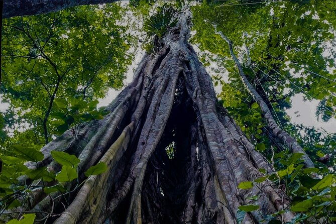 5-days-guided-manu-amazon-tour