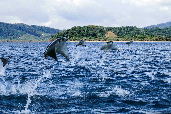 6-day-osa-jungle-adventure-tour-in-osa-drake-and-corcovado